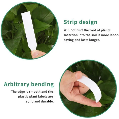 120x Étiquettes Plantes De Jardin En Plastique Etiquette Semis Couleur De 2x10cm En 6 Couleurs 3 120x Étiquettes Plantes De Jardin En Plastique Etiquette Semis Couleur De 2x10cm En 6 Couleurs – Image 3