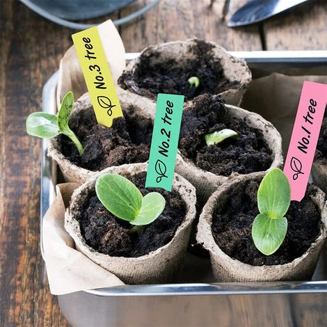 120x Étiquettes Plantes De Jardin En Plastique Etiquette Semis Couleur De 2x10cm En 6 Couleurs 4 120x Étiquettes Plantes De Jardin En Plastique Etiquette Semis Couleur De 2x10cm En 6 Couleurs – Image 4