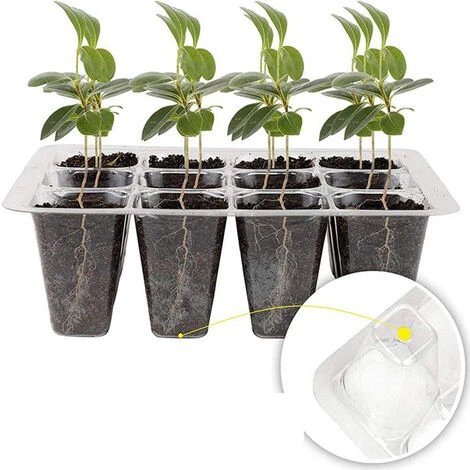 6 Pack Bac à Semis Mini Serre Potager Petite Serre Pour Semis De 12 Cellules Avec Outils De Plantation Et Étiquettes De Plantes Blanc 2 6 Pack Bac à Semis Mini Serre Potager Petite Serre Pour Semis De 12 Cellules Avec Outils De Plantation Et Étiquettes De Plantes Blanc – Image 2
