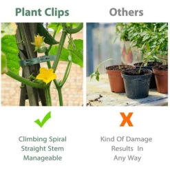 100 Pcs Clips à Plantes Attache Tomates Reutilisable Pour Fixer Plantes Grimpantes Deux Tailles -Terre Tendre Soldes Boutique 55496005 4