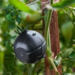 Dispositif D'enracinement Des Plantes Boule De Racines Des Plantes Boule D'enracinement Des Plantes, Boîte De Greffe De Racines De Plantes Pour Roses, Arbres, Buissons De Fruits 9 Dispositif D'enracinement Des Plantes Boule De Racines Des Plantes Boule D'enracinement Des Plantes, Boîte De Greffe De Racines De Plantes Pour Roses, Arbres, Buissons De Fruits -Terre Tendre Soldes Boutique 58576146 5