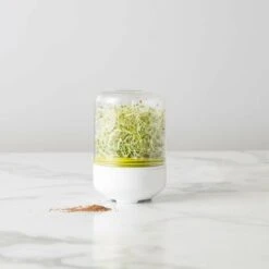 Kit De Germination De Comptoir De Cuisine, Cultivez Vos Propres Graines, Bocal En Verre, Blanc, Boîte Cadeau, 10 X 15 Cm 8 Kit De Germination De Comptoir De Cuisine, Cultivez Vos Propres Graines, Bocal En Verre, Blanc, Boîte Cadeau, 10 X 15 Cm -Terre Tendre Soldes Boutique 60720539 4