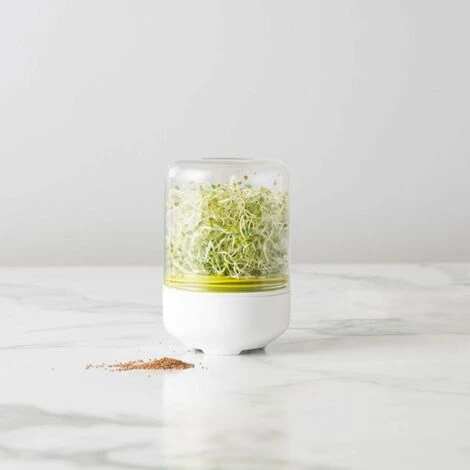 Kit De Germination De Comptoir De Cuisine, Cultivez Vos Propres Graines, Bocal En Verre, Blanc, Boîte Cadeau, 10 X 15 Cm 4 Kit De Germination De Comptoir De Cuisine, Cultivez Vos Propres Graines, Bocal En Verre, Blanc, Boîte Cadeau, 10 X 15 Cm – Image 4