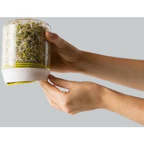 Kit De Germination De Comptoir De Cuisine, Cultivez Vos Propres Graines, Bocal En Verre, Blanc, Boîte Cadeau, 10 X 15 Cm 5 Kit De Germination De Comptoir De Cuisine, Cultivez Vos Propres Graines, Bocal En Verre, Blanc, Boîte Cadeau, 10 X 15 Cm – Image 5