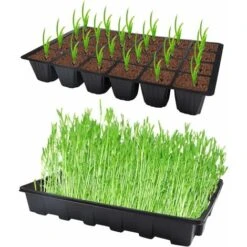 Plateau De Semis 5 Pièces 24 Cellules Plateau De Semis En Plastique Propagateur De Germination Avec Couvercle Pour Jardin Balcon Légumes Plantes Fruitières 8 Plateau De Semis 5 Pièces 24 Cellules Plateau De Semis En Plastique Propagateur De Germination Avec Couvercle Pour Jardin Balcon Légumes Plantes Fruitières -Terre Tendre Soldes Boutique 60720642 4