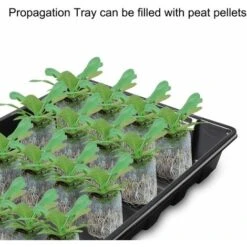 Plateau De Semis 5 Pièces 24 Cellules Plateau De Semis En Plastique Propagateur De Germination Avec Couvercle Pour Jardin Balcon Légumes Plantes Fruitières 9 Plateau De Semis 5 Pièces 24 Cellules Plateau De Semis En Plastique Propagateur De Germination Avec Couvercle Pour Jardin Balcon Légumes Plantes Fruitières -Terre Tendre Soldes Boutique 60720642 5