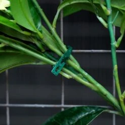 13 Et 23 Cm, 200 Pièces Attaches Réglables Pour Plantes Attaches Flexibles Pour Plantes De Jardin, Vert Multi-Fonction Robuste Attache Torsadée Pour Plantes De Jardin Attaches De Jardin En Plastique S -Terre Tendre Soldes Boutique 60740200 5