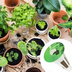 Lot De 200 Cordeau De Jardin étiquettes Pour Pots De Semences En PVC Pour Pots De Semences, étiquettes Rondes Pour Panier Hydroponique Pour Marquer Les Plantes Et Comprendre La Croissance Des Plantes -Terre Tendre Soldes Boutique 60740287 3