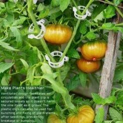 200PCS Greffoir Et Pince à Greffer Cordeau De Jardin Clips De Support De Plantes, Clips De Support, Clips De Treillis De Tomate, Pince Verticale En Plastique Blanc Pour Orchidée -Terre Tendre Soldes Boutique 60740298 3