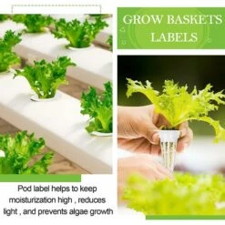 Cordeau De Jardin Le Kit De Culture Hydroponique 100 Pièces Comprend 50 Paniers De Rechange Pour Plantes Hydroponiques Et 50 étiquettes De Pot De Graines Pour Panier D'éponges De Culture Compatible 7 Cordeau De Jardin Le Kit De Culture Hydroponique 100 Pièces Comprend 50 Paniers De Rechange Pour Plantes Hydroponiques Et 50 étiquettes De Pot De Graines Pour Panier D'éponges De Culture Compatible -Terre Tendre Soldes Boutique 60740573 3