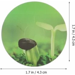 Cordeau De Jardin 100 Pièces étiquette Gousses étiquette Autocollant Rond Peler Et Coller étiquette Hydroponique Plante Cultiver étiquette De Panier Pour Toutes Les Gousses 7 Cordeau De Jardin 100 Pièces étiquette Gousses étiquette Autocollant Rond Peler Et Coller étiquette Hydroponique Plante Cultiver étiquette De Panier Pour Toutes Les Gousses -Terre Tendre Soldes Boutique 60740869 3