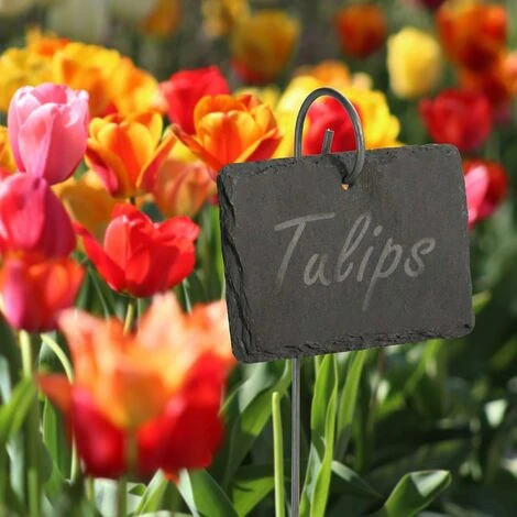 Ensemble De 10 étiquettes De Plantes En Ardoise Et Ardoise Marqueurs De Plantes De Jardin Étiquettes D'herbes Accessoires De Serre M&W 2 Ensemble De 10 étiquettes De Plantes En Ardoise Et Ardoise Marqueurs De Plantes De Jardin Étiquettes D'herbes Accessoires De Serre M&W – Image 2