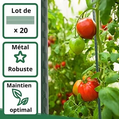 Lot De 20 Tuteurs Pour Plantes De 120cm ARTECSIS - Support Plante Grimpante Exterieur / Interieur 2 Lot De 20 Tuteurs Pour Plantes De 120cm ARTECSIS - Support Plante Grimpante Exterieur / Interieur – Image 2