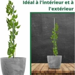 Lot De 20 Tuteurs Pour Plantes De 120cm ARTECSIS - Support Plante Grimpante Exterieur / Interieur 9 Lot De 20 Tuteurs Pour Plantes De 120cm ARTECSIS - Support Plante Grimpante Exterieur / Interieur -Terre Tendre Soldes Boutique 64884522 5