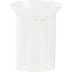 Vase Germination H12 Cm. Transparent. Marque : Esschert Design. Réf. : AGG96