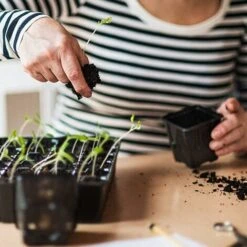 5/10 Godets De Semis En Grille Bac à Semis,32 Trous Plateau De Germination, Mini Serre Pour Plantes, Plaque Frontale Biodégradable Boîte De Pépinière De Pulpe De Jardinage (5PC) 7 5/10 Godets De Semis En Grille Bac à Semis,32 Trous Plateau De Germination, Mini Serre Pour Plantes, Plaque Frontale Biodégradable Boîte De Pépinière De Pulpe De Jardinage (5PC) -Terre Tendre Soldes Boutique 67689075 3