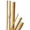 3 Tuteurs En Bambou Naturel - 180 Cm / Ø 14-16 Mm - Nature