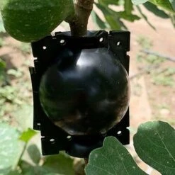 DENUOTOP Boîte De Croissance,3pcs Dispositif D'enracinement Des Plantes, Boîte De Croissance,Réutilisable Usine Enracinement Dispositif Balle D'enracinement Pour La Croissance Rapide Racine 8 DENUOTOP Boîte De Croissance,3pcs Dispositif D'enracinement Des Plantes, Boîte De Croissance,Réutilisable Usine Enracinement Dispositif Balle D'enracinement Pour La Croissance Rapide Racine -Terre Tendre Soldes Boutique 70885884 4