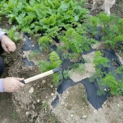 Outil De Désherbage à Double Tête Mini Garden Hoes - Pioche En Acier à Haute Teneur En Carbone -Terre Tendre Soldes Boutique 74924827 4