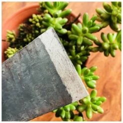 Outil De Désherbage à Double Tête Mini Garden Hoes - Pioche En Acier à Haute Teneur En Carbone -Terre Tendre Soldes Boutique 74924827 5