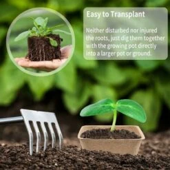 Lot De 50 Pot Semis Biodegradable, 8x8 Cm Pots De Culture Avec 50pcs Etiquette Plante, Pots De Semis, Godet De Semis Pour Graines, Semis, Germer (8x8 Cm) 7 Lot De 50 Pot Semis Biodegradable, 8x8 Cm Pots De Culture Avec 50pcs Etiquette Plante, Pots De Semis, Godet De Semis Pour Graines, Semis, Germer (8x8 Cm) -Terre Tendre Soldes Boutique 77515881 3