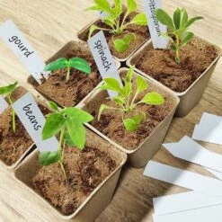 Lot De 50 Pot Semis Biodegradable, 8x8 Cm Pots De Culture Avec 50pcs Etiquette Plante, Pots De Semis, Godet De Semis Pour Graines, Semis, Germer (8x8 Cm) 8 Lot De 50 Pot Semis Biodegradable, 8x8 Cm Pots De Culture Avec 50pcs Etiquette Plante, Pots De Semis, Godet De Semis Pour Graines, Semis, Germer (8x8 Cm) -Terre Tendre Soldes Boutique 77515881 4