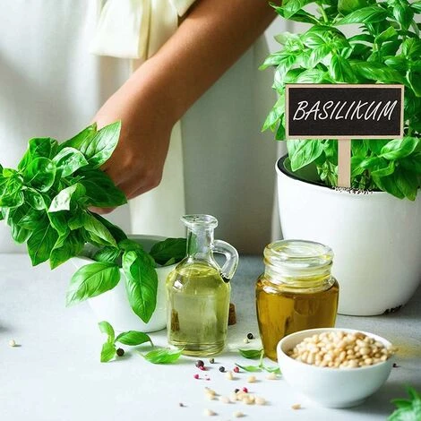 Etiquettes à Planter Mini Signe Des étiquettes En Bois D'Usine De Bois éTiquettes Mini Ardoises Jardin Fleurs Et Plantes étiquettes Pour Greenhouse Balcon High-Beet, Pot De Fleur (20PCS) 3 Etiquettes à Planter Mini Signe Des étiquettes En Bois D'Usine De Bois éTiquettes Mini Ardoises Jardin Fleurs Et Plantes étiquettes Pour Greenhouse Balcon High-Beet, Pot De Fleur (20PCS) – Image 3