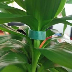 Lot De 2 Rouleaux De Ruban Velcro Réutilisable En Nylon Pour Plantes De Jardin, Tomates, Fleurs Ou Légumes Dans Des Lits Surélevés - Vert -Terre Tendre Soldes Boutique 78026043 3