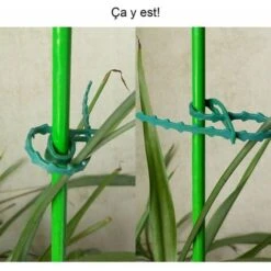 100 Pcs Accroche-Tuteurs Pour Tomates Arbres Tuteurs De Plantes Attache Et Soutien Réglable Pour Plantes Serre-câble Lien En Plastique Pour Jardinage Bricolage 23CM -Terre Tendre Soldes Boutique 78949559 5
