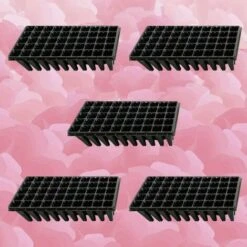 5Pcs Plateaux De Culture De Plantes 50 Plateaux De Démarrage De Semis De Cellules Pour La Germination Des Graines Et Le Plateau De Propagation En Plastique Des Semis Noir 9 5Pcs Plateaux De Culture De Plantes 50 Plateaux De Démarrage De Semis De Cellules Pour La Germination Des Graines Et Le Plateau De Propagation En Plastique Des Semis Noir -Terre Tendre Soldes Boutique 78950358 5