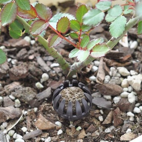 Boîte D'engrais Boîte Engrais Organique Portable Boîte D'engrais D'engrais Couvercle Paniers D'engrais Bonsai Bonsaï Avec Couvercle Engrais Pour Bonsaï For Bonsai Usine De Fleurs (10 Morceaux), 4 Boîte D'engrais Boîte Engrais Organique Portable Boîte D'engrais D'engrais Couvercle Paniers D'engrais Bonsai Bonsaï Avec Couvercle Engrais Pour Bonsaï For Bonsai Usine De Fleurs (10 Morceaux), – Image 4