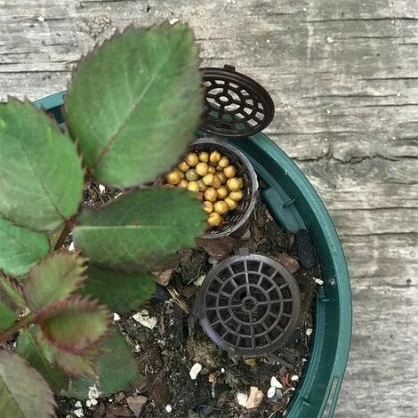 Boîte D'engrais Boîte Engrais Organique Portable Boîte D'engrais D'engrais Couvercle Paniers D'engrais Bonsai Bonsaï Avec Couvercle Engrais Pour Bonsaï For Bonsai Usine De Fleurs (10 Morceaux), 5 Boîte D'engrais Boîte Engrais Organique Portable Boîte D'engrais D'engrais Couvercle Paniers D'engrais Bonsai Bonsaï Avec Couvercle Engrais Pour Bonsaï For Bonsai Usine De Fleurs (10 Morceaux), – Image 5