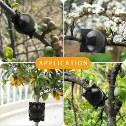 15 Pièces Boule De Propagation De Boîte D'Enracinement Des Plantes, Boîte De Greffe Boîte De Balle De Propagation à Haute Pression Dispositif D'Enracinement Des Plantes (l+m+s, Noir) -Terre Tendre Soldes Boutique 80299749 5