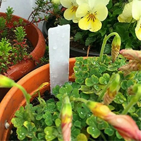 RHAFAYRE Lot De 200 étiquettes En Plastique Pour Plantes De Jardin, étiquettes étanches De 5 X 1 Cm, étiquettes De Graines Pour Plantes D'extérieur, Fleurs En Pot,blanc 4 RHAFAYRE Lot De 200 étiquettes En Plastique Pour Plantes De Jardin, étiquettes étanches De 5 X 1 Cm, étiquettes De Graines Pour Plantes D'extérieur, Fleurs En Pot,blanc – Image 4