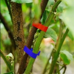 Machine à Nouer Les Plantes,Machine À Taper Nouer Branches, Outil Agriculture Manuelle Pour Attaches Plantes, Pour Jardin Fruits Légumes Fleurs Tomates Vigne, Outil De Jardinage À Attacher Branche 9 Machine à Nouer Les Plantes,Machine À Taper Nouer Branches, Outil Agriculture Manuelle Pour Attaches Plantes, Pour Jardin Fruits Légumes Fleurs Tomates Vigne, Outil De Jardinage À Attacher Branche -Terre Tendre Soldes Boutique 80385485 5