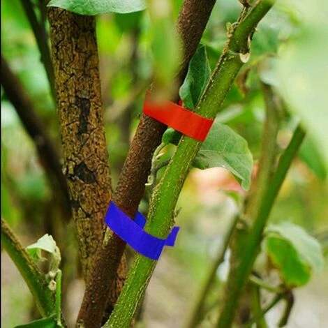 Machine à Nouer Les Plantes,Machine À Taper Nouer Branches, Outil Agriculture Manuelle Pour Attaches Plantes, Pour Jardin Fruits Légumes Fleurs Tomates Vigne, Outil De Jardinage À Attacher Branche 5 Machine à Nouer Les Plantes,Machine À Taper Nouer Branches, Outil Agriculture Manuelle Pour Attaches Plantes, Pour Jardin Fruits Légumes Fleurs Tomates Vigne, Outil De Jardinage À Attacher Branche – Image 5