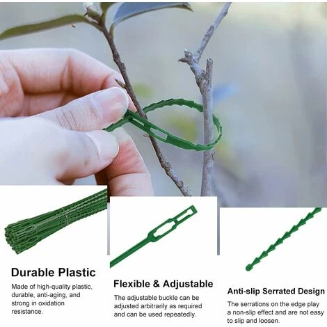220 Pcs Attache Plante En Plastique Réglable Accroche Tuteur Plante Flexible Longueur 13/17/23cm Accroche Tuteur Tomate Réutilisable Portable Pour Plantes Arbustes Jardin Maison Bureau - Vert 3 220 Pcs Attache Plante En Plastique Réglable Accroche Tuteur Plante Flexible Longueur 13/17/23cm Accroche Tuteur Tomate Réutilisable Portable Pour Plantes Arbustes Jardin Maison Bureau - Vert – Image 3