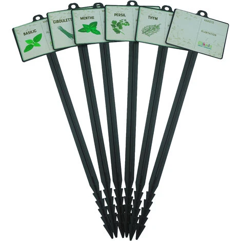 Mikado Etiquettes Pour Plante AROMATES Basilic Ciboulette Menthe Persil Thym Vierge X6 1 Mikado Etiquettes Pour Plante AROMATES Basilic Ciboulette Menthe Persil Thym Vierge X6