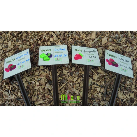 Mikado Etiquettes Pour Plante AROMATES Basilic Ciboulette Menthe Persil Thym Vierge X6 5 Mikado Etiquettes Pour Plante AROMATES Basilic Ciboulette Menthe Persil Thym Vierge X6 – Image 5