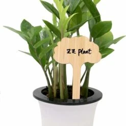 Aunrtb 36 Pièces Etiquette Jardin Exterieur, Etiquette Pour Plante Bambou, Etiquette Potager,Etiquettes Semis,Convient Aux Légumes Succulents Et Aux Fleurs,Forme Arbre,6X10CM 8 Aunrtb 36 Pièces Etiquette Jardin Exterieur, Etiquette Pour Plante Bambou, Etiquette Potager,Etiquettes Semis,Convient Aux Légumes Succulents Et Aux Fleurs,Forme Arbre,6X10CM -Terre Tendre Soldes Boutique 83038620 4