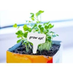 Aunrtb 300 PCS En Plastique T-Type Plant Étiquettes Jardin Pépinière Étiquettes Plant Étiquettes 6x10 CM 8 Aunrtb 300 PCS En Plastique T-Type Plant Étiquettes Jardin Pépinière Étiquettes Plant Étiquettes 6x10 CM -Terre Tendre Soldes Boutique 83038908 4