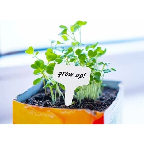 Aunrtb 300 PCS En Plastique T-Type Plant Étiquettes Jardin Pépinière Étiquettes Plant Étiquettes 6x10 CM 4 Aunrtb 300 PCS En Plastique T-Type Plant Étiquettes Jardin Pépinière Étiquettes Plant Étiquettes 6x10 CM – Image 4