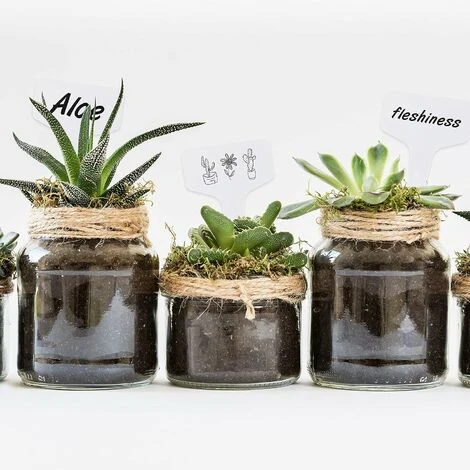 Aunrtb 300 PCS En Plastique T-Type Plant Étiquettes Jardin Pépinière Étiquettes Plant Étiquettes 6x10 CM 5 Aunrtb 300 PCS En Plastique T-Type Plant Étiquettes Jardin Pépinière Étiquettes Plant Étiquettes 6x10 CM – Image 5