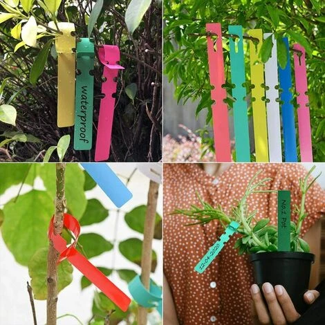 Etiquette, 600 Pièces Étiquettes De Plantes En Plastique, Etiquette De Jardin Imperméables Et Réutilisable, 2x21cm Marqueur Pépinière, Étiquettes Suspendues Pour Semis, Jardinage, Décor De Jardin,Supe 5 Etiquette, 600 Pièces Étiquettes De Plantes En Plastique, Etiquette De Jardin Imperméables Et Réutilisable, 2x21cm Marqueur Pépinière, Étiquettes Suspendues Pour Semis, Jardinage, Décor De Jardin,Supe – Image 5