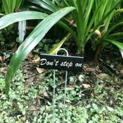 Étiquetage Des Plantes,Marqueurs Etiquettes Plante De Pépinière , 12 Pcs Etiquette Jardin Métal Durable Antirouille Étiquettes Potager Marqueur Pour Fleur Légumes Graine Jardin Pépinière (Noir) 8 Étiquetage Des Plantes,Marqueurs Etiquettes Plante De Pépinière , 12 Pcs Etiquette Jardin Métal Durable Antirouille Étiquettes Potager Marqueur Pour Fleur Légumes Graine Jardin Pépinière (Noir) -Terre Tendre Soldes Boutique 85567031 4