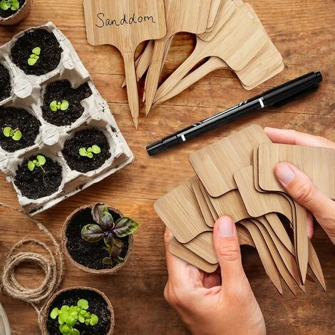Lot De 50 étiquettes De Plantes En Bambou Avec Marqueurs, étiquettes De Plantes En Bois T Marqueurs De Jardin Pour Graines En Pot Herbes Fleurs Légumes (6 X 10 Cm) 3 Lot De 50 étiquettes De Plantes En Bambou Avec Marqueurs, étiquettes De Plantes En Bois T Marqueurs De Jardin Pour Graines En Pot Herbes Fleurs Légumes (6 X 10 Cm) – Image 3