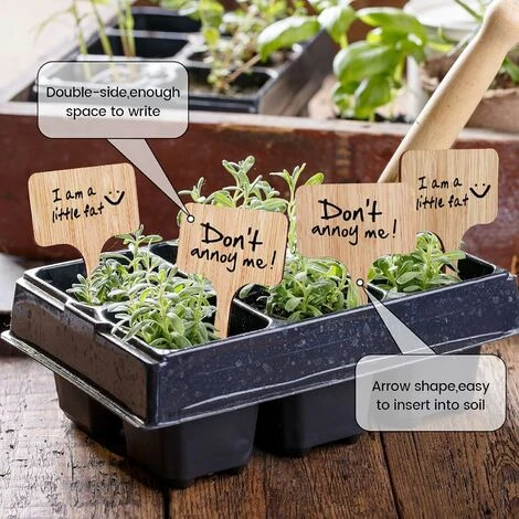 Lot De 50 étiquettes De Plantes En Bambou Avec Marqueurs, étiquettes De Plantes En Bois T Marqueurs De Jardin Pour Graines En Pot Herbes Fleurs Légumes (6 X 10 Cm) 4 Lot De 50 étiquettes De Plantes En Bambou Avec Marqueurs, étiquettes De Plantes En Bois T Marqueurs De Jardin Pour Graines En Pot Herbes Fleurs Légumes (6 X 10 Cm) – Image 4