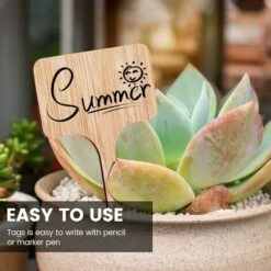 Lot De 50 étiquettes De Plantes En Bambou Avec Marqueurs, étiquettes De Plantes En Bois T Marqueurs De Jardin Pour Graines En Pot Herbes Fleurs Légumes (6 X 10 Cm) 9 Lot De 50 étiquettes De Plantes En Bambou Avec Marqueurs, étiquettes De Plantes En Bois T Marqueurs De Jardin Pour Graines En Pot Herbes Fleurs Légumes (6 X 10 Cm) -Terre Tendre Soldes Boutique 85948425 5