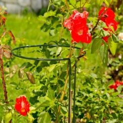 Tuteur Pour Arbuste Vario 70 Cm, 30 Cm -Terre Tendre Soldes Boutique 90013792 3