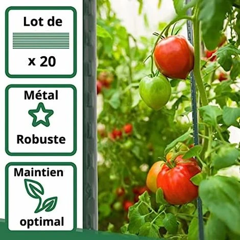 Lot De 20 Tuteurs Pour Plantes De 150cm ARTECSIS - Support Plante Grimpante Exterieur / Interieur 2 Lot De 20 Tuteurs Pour Plantes De 150cm ARTECSIS - Support Plante Grimpante Exterieur / Interieur – Image 2